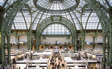 Le grand palais à Paris