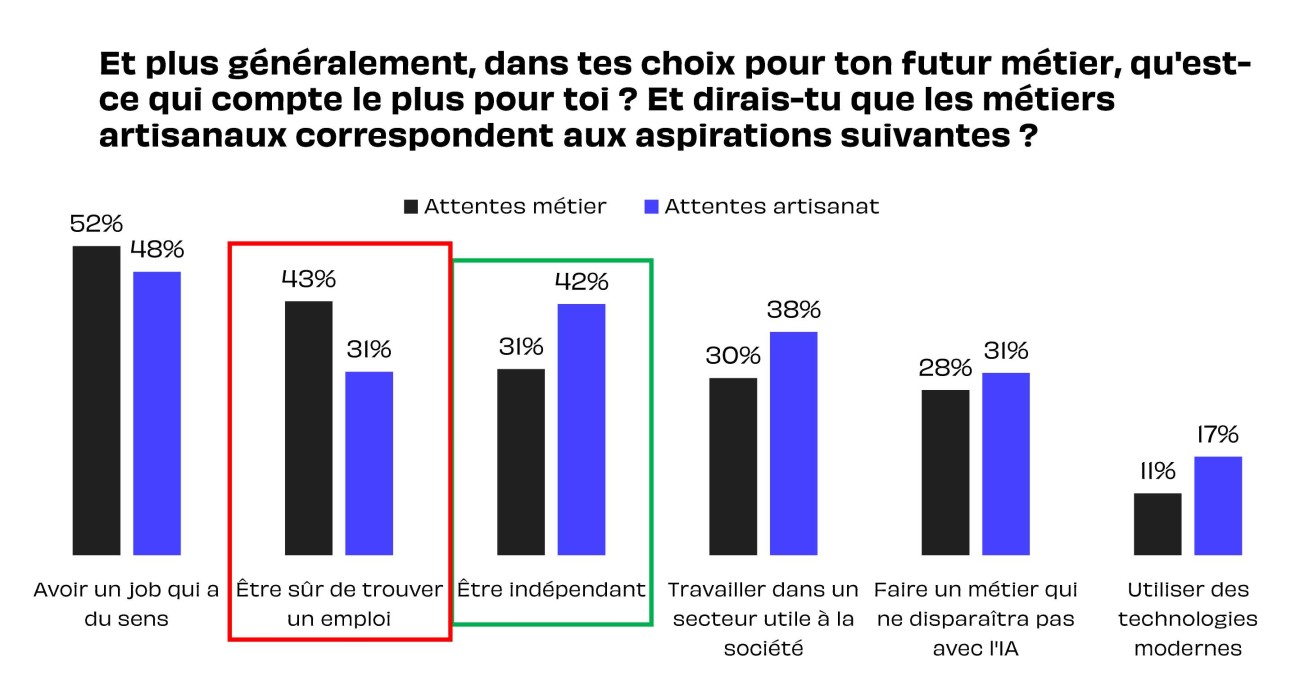  aspiration metier detail.jpg 