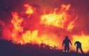 Feu de forêt